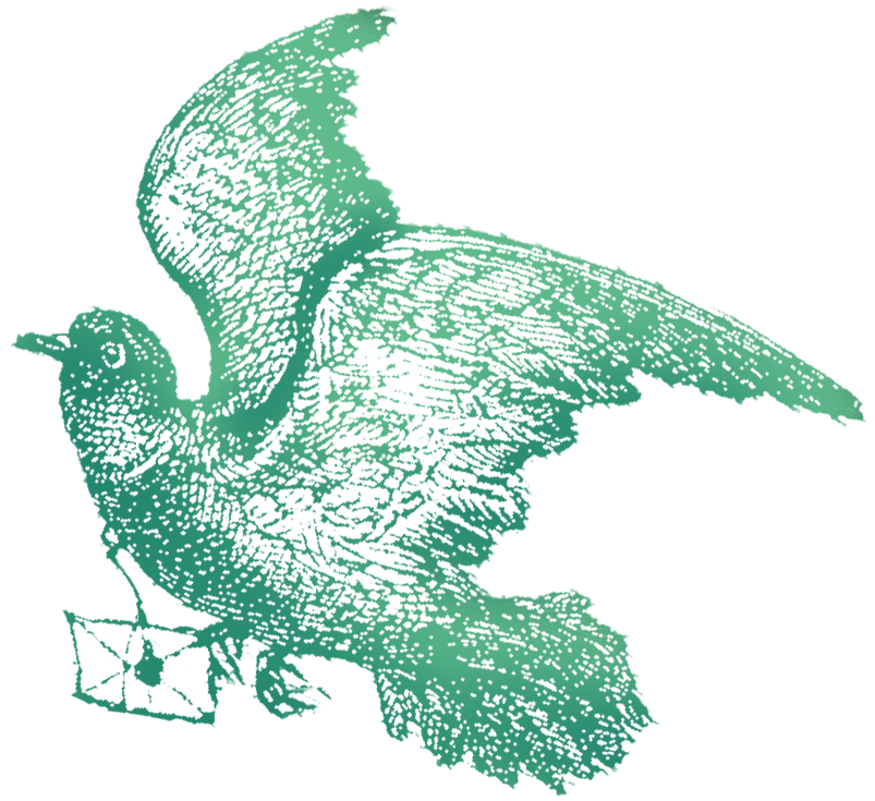 Arajet Referrals Thumbnail